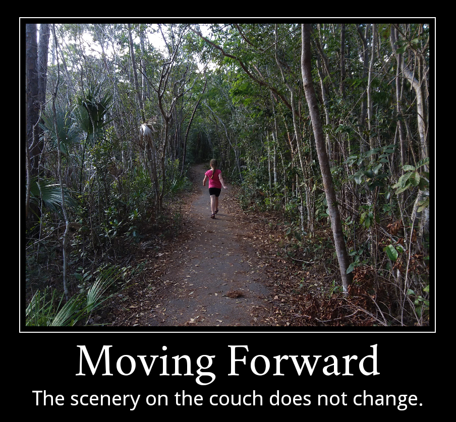 Moving Forward - The scenery on the couch does not change.